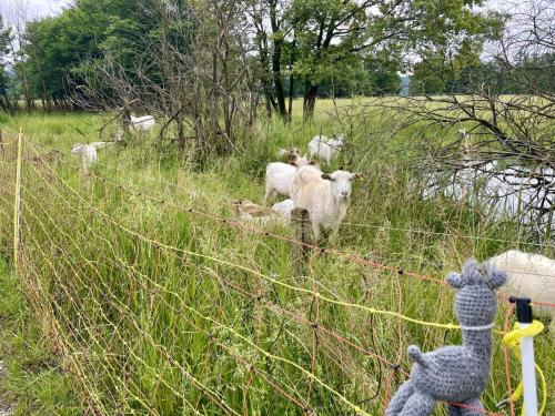 FullSizeRender (1) (1) (1) (1) (1) (1)